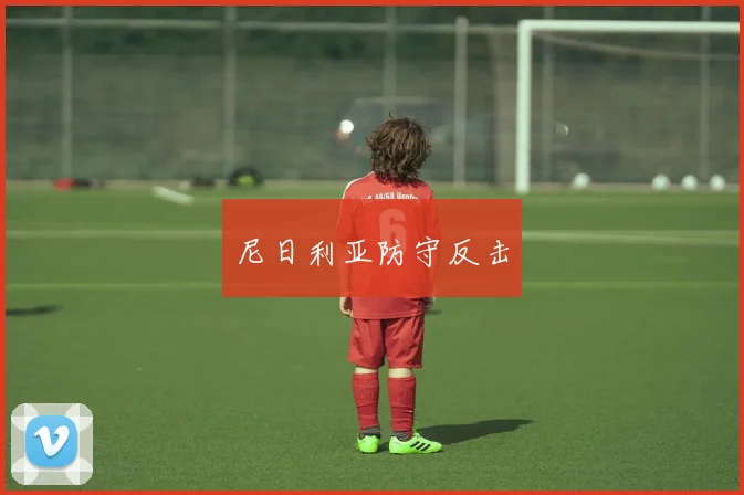 尼日利亚防守反击