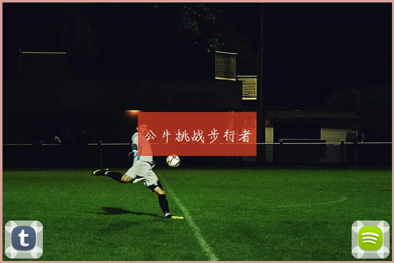 公牛挑战步行者